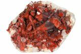 Phenomenal, Natural, Red Quartz Crystal Cluster - Morocco #131360-1
